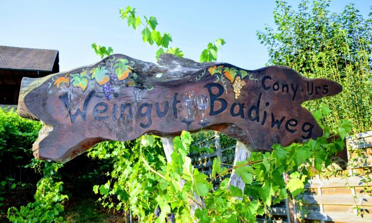 Read more about the article Weingut „Cinq“ – 4665 Oftringen